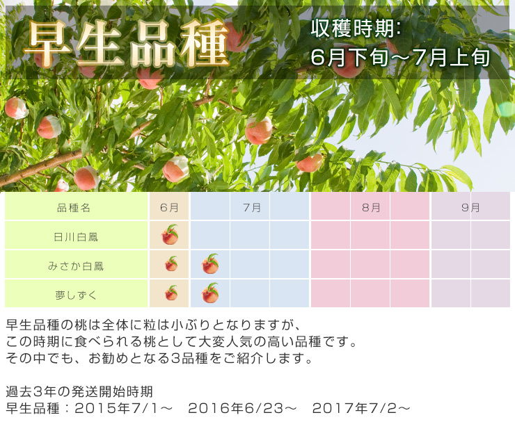 贈答用　早生品種(6月下旬〜）【完売】
